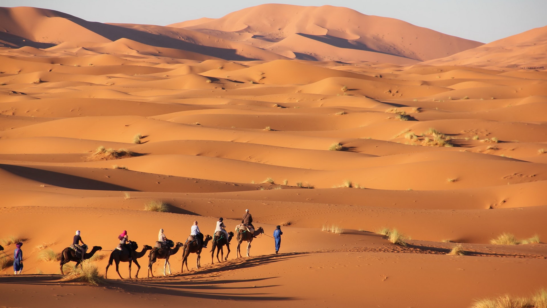 Sand dunes in the Sahara desert
